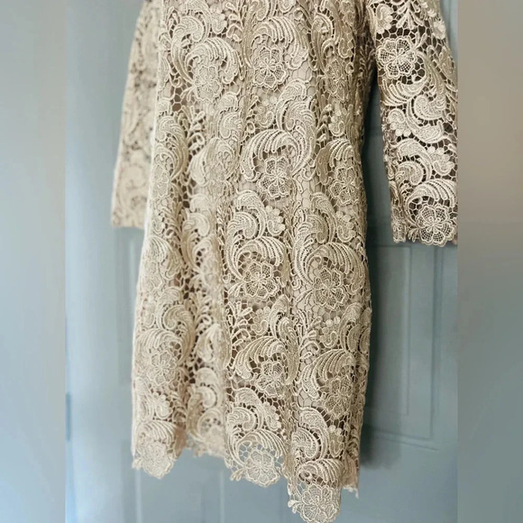 White House  & black Market brand Champagne Lace 3/4 Sleeve Mini Dress - Picture 3 of 10